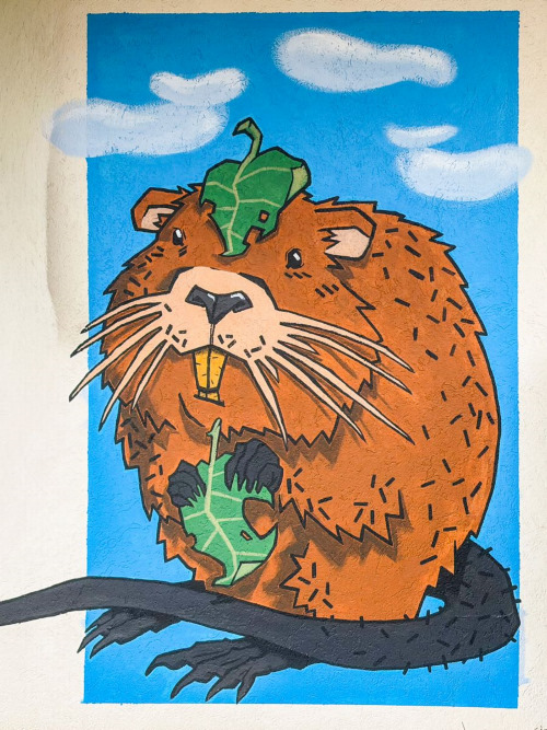 Mappa degli animali - La nutria