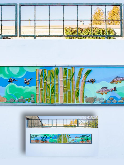 Animalevie Pesci fuor d'acqua