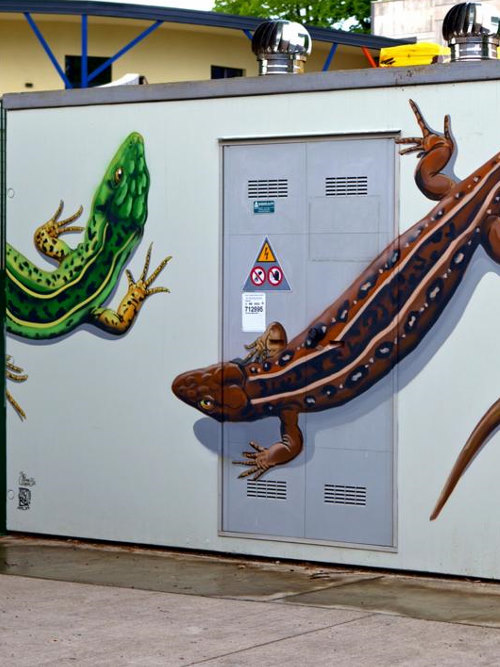 Mappa degli animali - La birigola